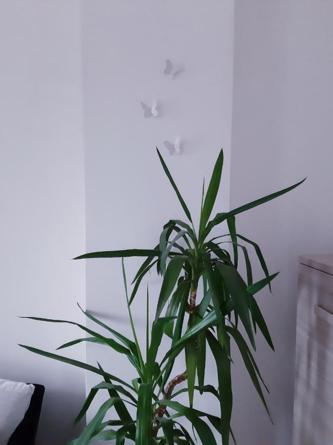 Mariel Holiday Home Левико Терме Екстериор снимка